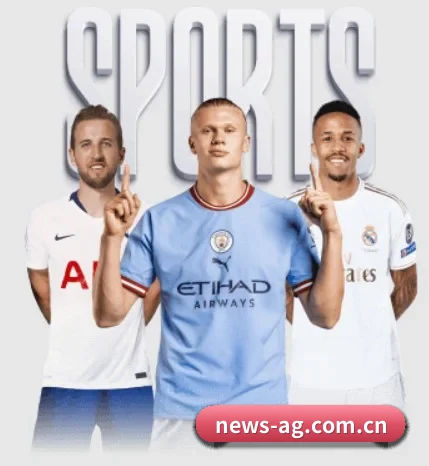 五大服务分区,信息按项目分类