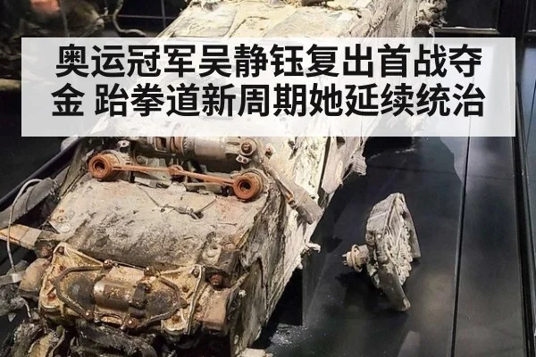 奥运冠军吴静钰复出首战夺金 跆拳道新周期她延续统治