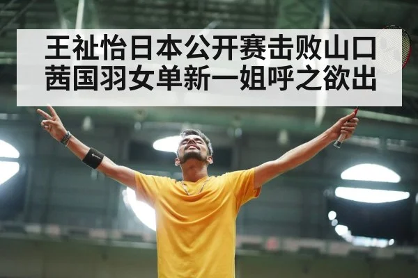 badminton court victory