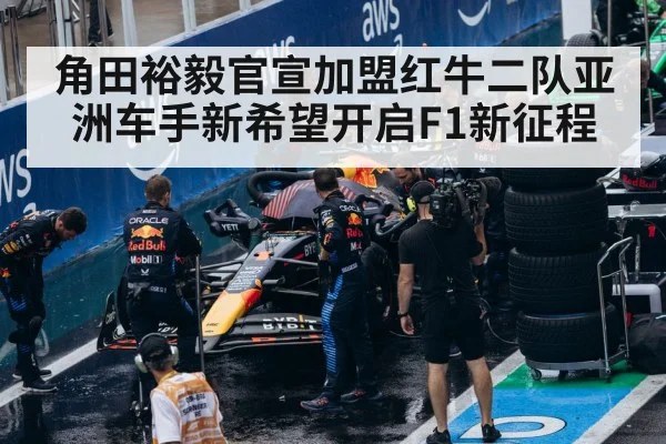 Red Bull F1 team